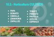 10.2.- Horticultura CULTIVOS