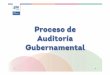Proceso de Auditoría Gubernamental - Guanajuato