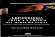 Crimimologia Crítica y Crítica del Derecho Penal