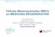 Células Mesenquimales (MSC) en MEDICINA REGENERATIVA