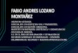 FABIO ANDRES LOZANO MONTAÑEZ - anm.gov.co