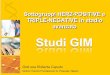 Studi GIM - OverGroup
