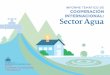 INFORME TEMÁTICO DE COOPERACIÓN INTERNACIONAL: Sector Agua
