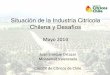 Situación de la Industria Citrícola Chilena y Desafíos