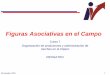 Figuras Asociativas en el Campo - UNAM