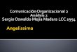Comunicación Organizacional 2 Análisis 2 Sergio Oswaldo 