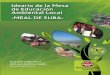 Ideario de la Mesa de Educación Ambiental Local -MEAL dE subA-