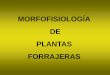 MORFOFISIOLOGÍA DE PLANTAS FORRAJERAS