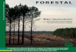 Bajo observación - Revista Forestal - Revista Forestal