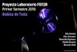 Bobina de Tesla Proyecto Laboratorio FIS120 Marcela Vidal 