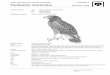 Order Falconiformes / Family Accipitridae APPENDIX II 