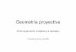 Geometría proyectiva - UNAM
