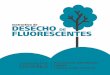 DESECHO FLUORESCENTES