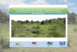 Manual de mejores prácticas de restauración de ecosistemas 