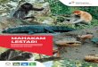 MAHAKAM LESTARI - phi.pertamina.com
