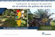 Calibración de equipos de aspersión en el cultivo de palma 