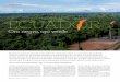 Grandes temas Amazonia en peligro - Universidad de Navarra