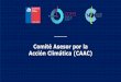 Comité Asesor por la Acción Climática (CAAC)