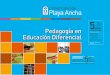 Pedagogía en - Playa Ancha University