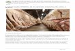 La gran huella climática de las grandes empresas de carne 