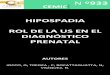 HIPOSPADIA ROL DE LA US EN EL DIAGNÓSTICO PRENATAL