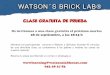 WATSON S BRICK LAB