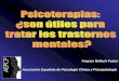 Amparo Belloch Fuster Asociación Española de Psicología 