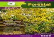 Revista Forestal de Guatemala - inab.gob.gt