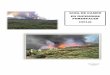 GUÍA DE CAMPO EN INCENDIOS - wildfirelessons.net