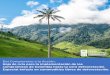 compromisos de Colombia hacia la cero deforestación 