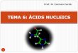 TEMA 6: ÀCIDS NUCLEICS