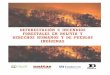 deforestación e incendios forestales en Bolivia y derechos 