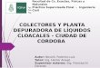 COLECTORES Y PLANTA DEPURADORA DE LÍQUIDOS …