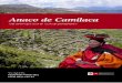 ANACO DE CAMILACA - repositorio.cultura.gob.pe