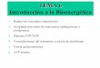 TEMA 6 Introducción a la Bioenergética - UV