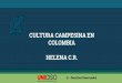 CULTURA CAMPESINA EN COLOMBIA HELENA C.R