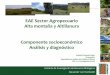 EAE Sector Agropecuario Alta montaña y Altillanura 