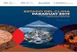 ESTADO DEL CLIMA PARAGUAY 2019 - DNCC