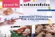 INDICADORES DE PRODUCTIVIDAD EN COLOMBIA,