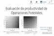 Evaluación de productividad de Operaciones Forestales