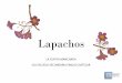 Lapachos - repositorio.invelec-conicet.gob.ar