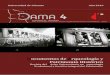 DAMA 4 - web.ua.es