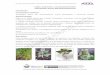 Origen, producción y uso de pseudocereales Chenopodium 