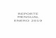 REPORTE MENSUAL ENERO 2019 - altamira.gob.mx