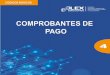 COMPROBANTES DE PAGO - UPN
