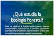 ¿Qué estudia la Ecología Forestal?