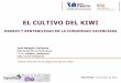 EL CULTIVO DEL KIWI - gva.es