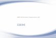 IBM SPSS Data Preparation 28