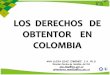 LOS DERECHOS DE OBTENTOR EN COLOMBIA - ica.gov.co