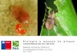 Biología y manejo de plagas cuarentenarias en cítricos
